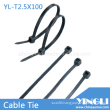 Nylon Cable Ties for Garden or Home Using (YL-T2.5X100)